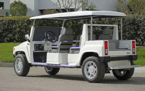 affordable golf cart rental, golf cart rent surfside, cart rental surfside