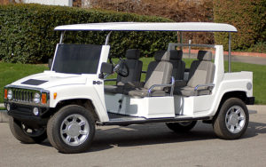 affordable golf cart rental, golf cart rent surfside, cart rental surfside