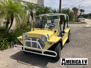 america ev mokee golf cart, luxury golf cart, mokee golf cart