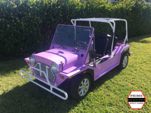 affordable golf cart rental, golf cart rent surfside, cart rental surfside