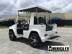 ev wagon golf cart, america ev ev wagon, golf cart sales